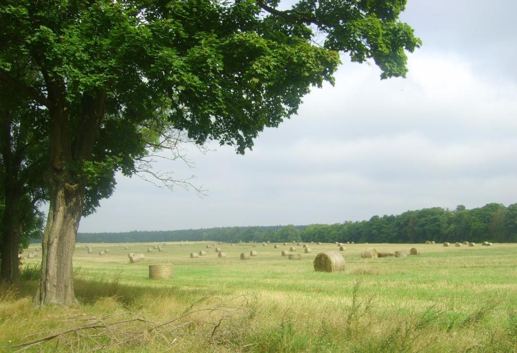 Gospodarstwo Agroturystyczne Lesniczowka Lubin  Exterior photo